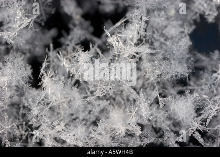snow crystals Stock Photo
