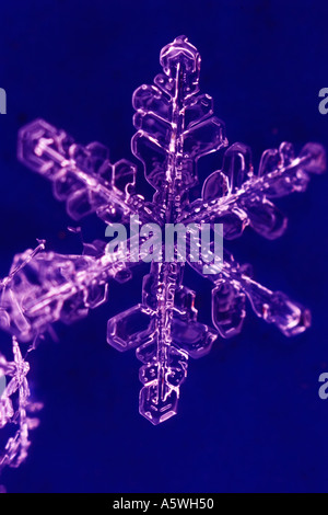 snow crystals Stock Photo