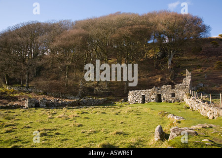 St. Cybi's Holy Well With Two Well Chambers And Caretaker's Stone 