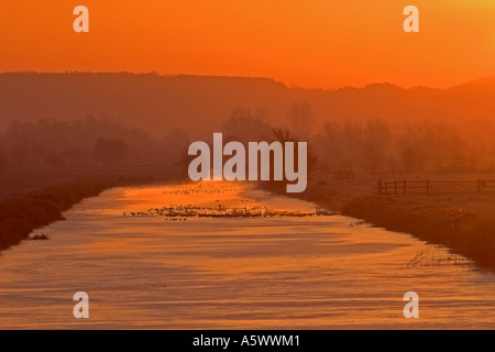 Sunrise over Somerset levels Stock Photo