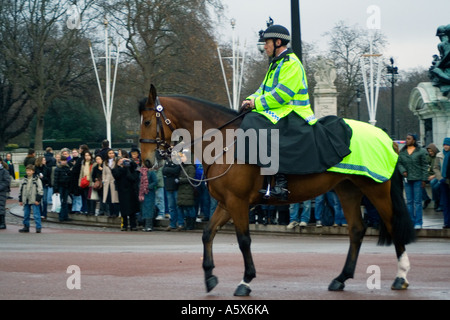 English Police Officer on Horse back Change of the Guard Buckingham Palace London England Stock Photo