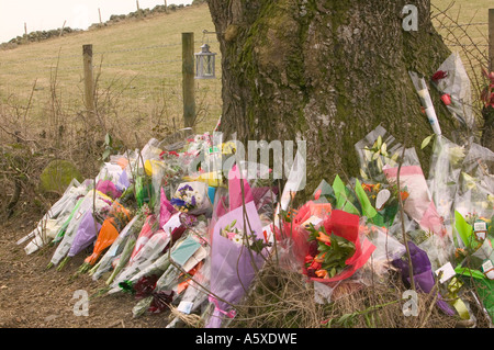 floral tributes left at the site of a fatal road traffic accident, near windermere, Cumbria, UK Stock Photo