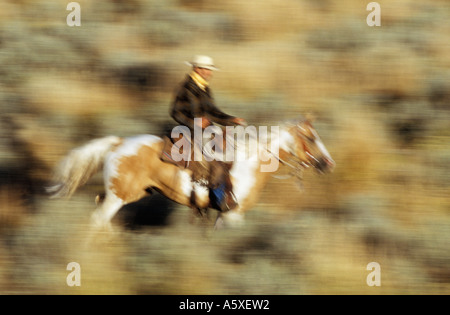 Cowboy Riding Oregon USA Stock Photo