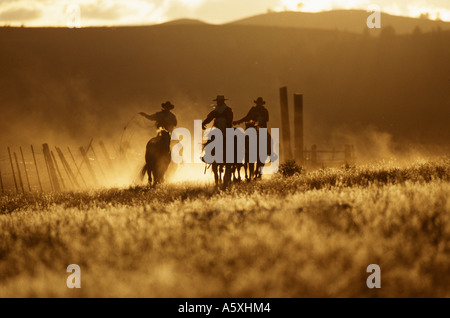 Cowboys riding at sunset Oregon USA Stock Photo