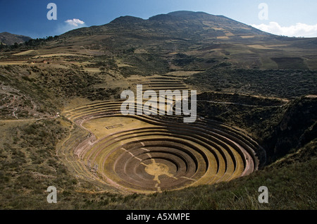 Circular Inca terraces in Moray (Cuzco - Peru). Terrasses Incas en amphithéâtre à Moray (Cuzco - Pérou). Stock Photo