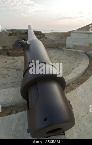 Large gun cannon on display from a fortified position where Ottoman forces fought off an Allied invasion in 1915, Turkey. Stock Photo