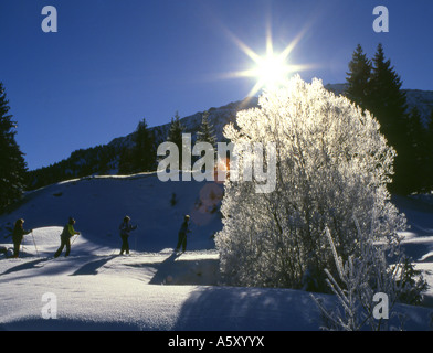 Cross country skiing in the Alps in Bavaria Germany Stock Photo