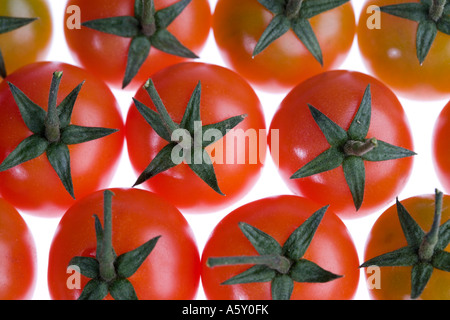Tomatoes Stock Photo
