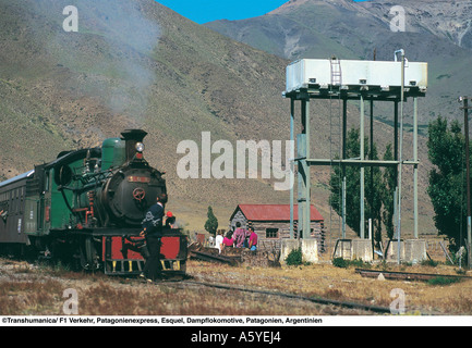 Train passing through landscape, Patagonia, Argentina Stock Photo