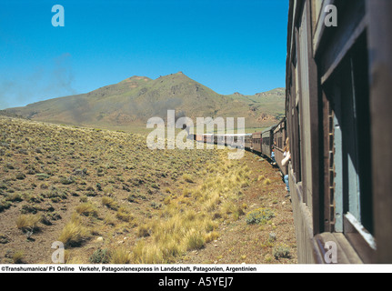 Train Passing through landscape, Patagonia, Argentina Stock Photo