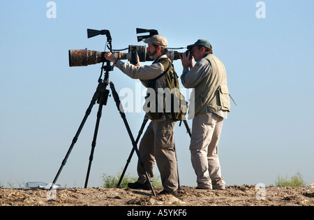 Bird photographers with massive lenses hunt their prey along the beach in Connecticut, USA Stock Photo