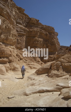 Sinai Bedouins People Of The Desert Stock Photo - Alamy