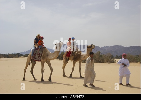 hippo therapy with camel / camel riding Stock Photo