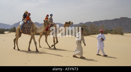 hippo therapy with camel / camel riding Stock Photo