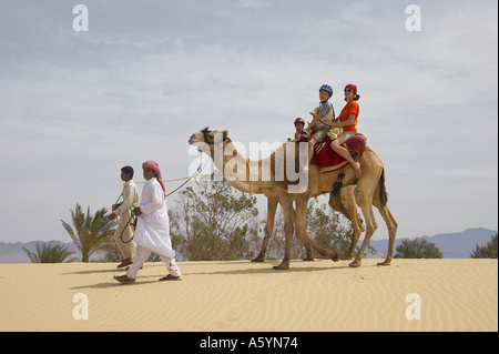 hippo therapy with camel / camel riding Stock Photo