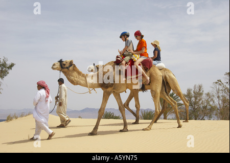 hippo therapy with camel / camel riding Stock Photo