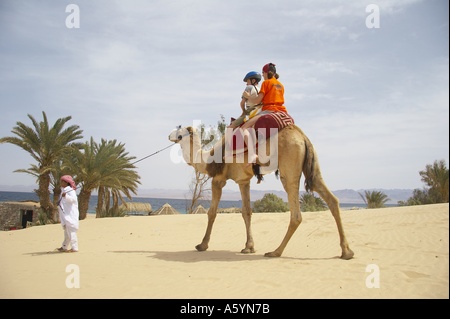 hippo therapy with camel / camel riding Stock Photo