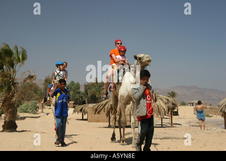 hippo therapy with camel / camel riding Stock Photo