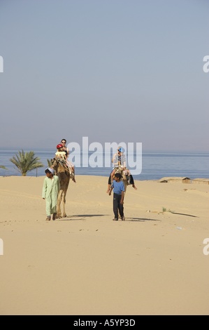 hippo therapy with camel / camel riding Stock Photo