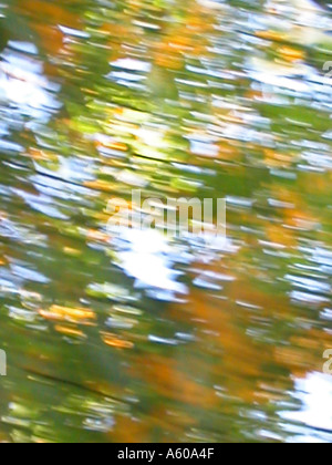 background leaves blurred Stock Photo