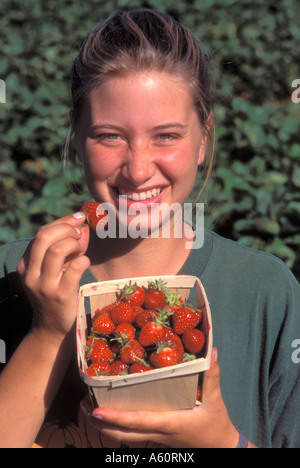 YOUNG GIRL IN STRAWBERRY PATCH NEAR NORTH CONWAY, NEW HAMPSHIRE. Stock Photo