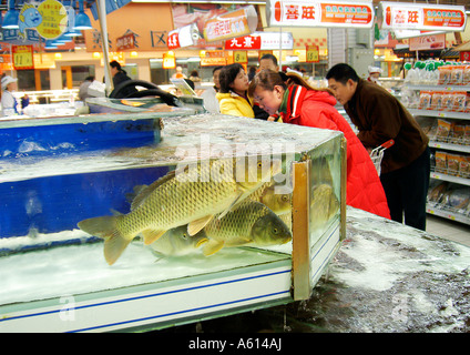 Taiwanese KT Mart store in city of Jinan, Shandong Province, China. Customers select fresh live fish from tanks Stock Photo