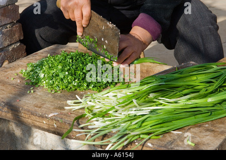 Making traditional dim sum Chinese dumplings. Chopping spring onions outside farmhouse kitchen. Shandong Province, China Stock Photo