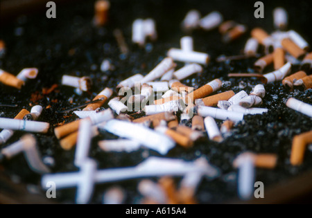 cigarette butts in outdoor ashtray new york city ©mak Stock Photo