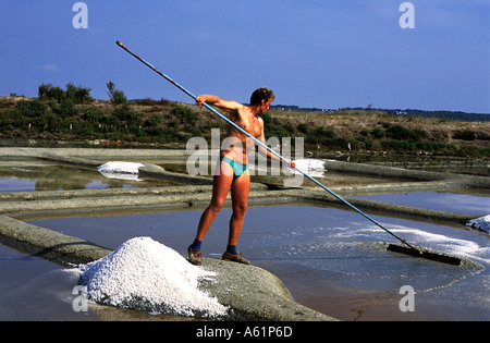 a farmer or paludier hand harvesting grey sea salt using traditional tools in Guerande beside the Atlantic ocean, Brittany Franc Stock Photo
