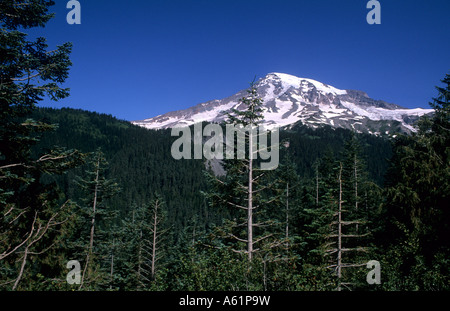 Beautiful Mt Rainier with snow caps in the Pacific Northwest below the ...