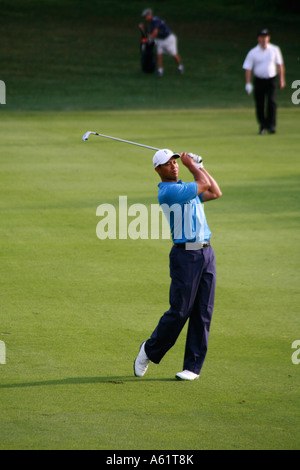 Tiger Woods professional golfer Stock Photo