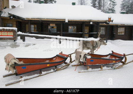 Reindeer with sleighs, Santa Claus Village, Rovaniemi, Lapland, Northern Finland, Europe, Arctic Stock Photo
