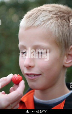 portrait of a young boy looking at a strawberry offered to him Stock Photo