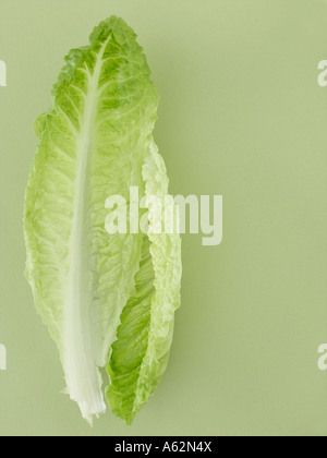 Lettuce leaves on pale green background Stock Photo