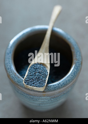 Blue poppy seeds Stock Photo