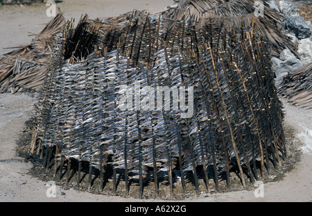 Fish Smoking Around A Fire Kilwa Kivinje South Coast Tanzania Stock Fish Smoking Around A Fire Kilwa Kivinje South Coast Tanzania Stock
