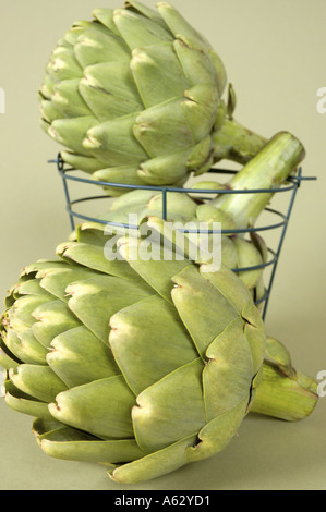 Artichokes in a Wire Basket Stock Photo