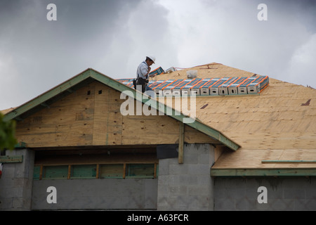 Roofer looking at plans on top of a new building Stock Photo