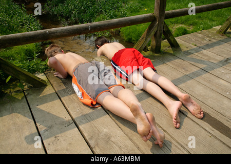 two young boys lying on a wooden bridge looking for fish in a stream Stock Photo
