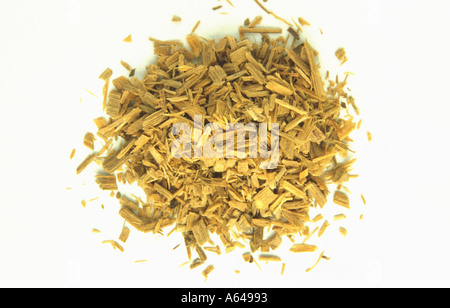 Potenzholz Muira puama Potency wood Stock Photo: 412049 - Alamy