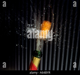cork popping out of champagne bottle editorial use only Stock Photo