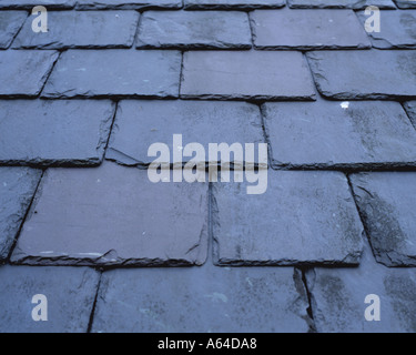 Roofing slates on an old barn, England, UK. Stock Photo