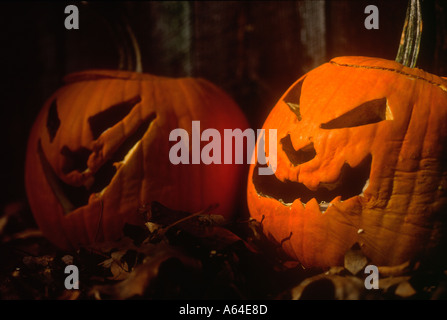 Jack-o-lantern pumpkins carved for Halloween Stock Photo