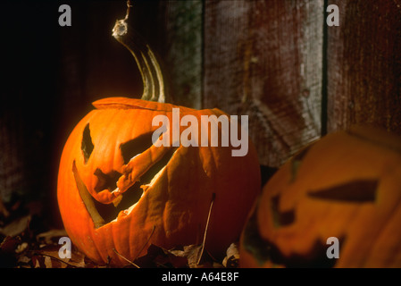 Jack-o-lantern pumpkins carved for Halloween Stock Photo