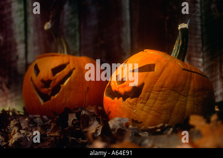 Jack-o-lantern pumpkins carved for Halloween Stock Photo