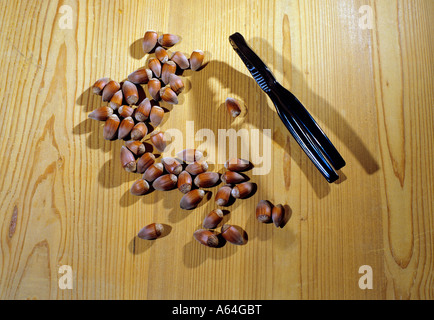 nutcracker and hazelnuts Stock Photo