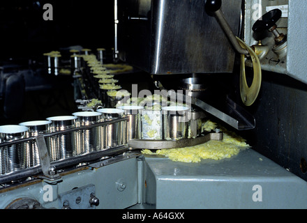 canning plant for shredded swiss rosti potatoes Stock Photo