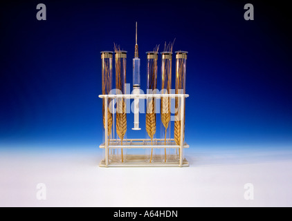 ears and syringe in testtubes symbolism for biotechnology and design food Stock Photo