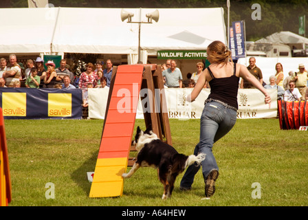 Dog agility trials at the Scottish Game Conservancy Fair 2006 held in the grounds of Scone Palace,Perthshire Stock Photo