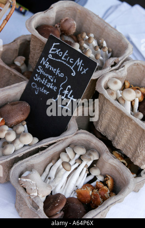 Exotic mushrooms for sale at a North West London farmer's market Stock Photo